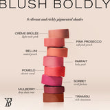 Youngblood VividLuxe Creme Blush Stick 9.5g