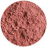 Youngblood Crush Blush